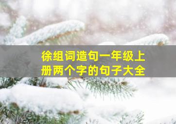 徐组词造句一年级上册两个字的句子大全