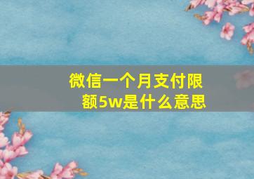 微信一个月支付限额5w是什么意思