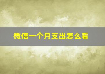 微信一个月支出怎么看