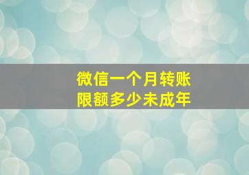 微信一个月转账限额多少未成年