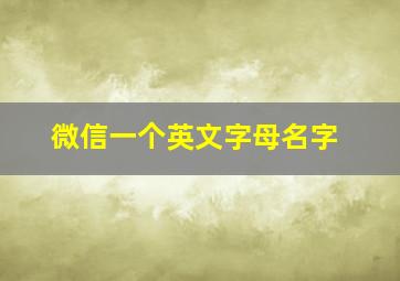 微信一个英文字母名字