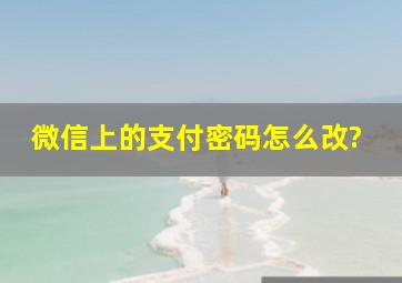 微信上的支付密码怎么改?