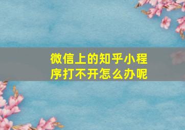 微信上的知乎小程序打不开怎么办呢