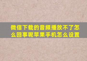 微信下载的音频播放不了怎么回事呢苹果手机怎么设置