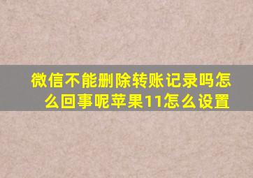 微信不能删除转账记录吗怎么回事呢苹果11怎么设置