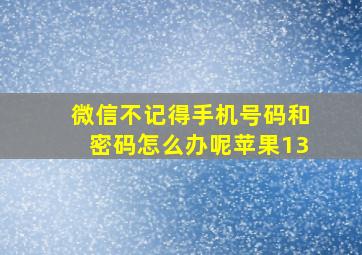 微信不记得手机号码和密码怎么办呢苹果13