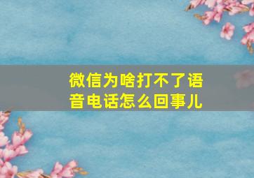 微信为啥打不了语音电话怎么回事儿