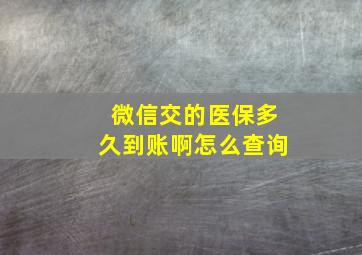 微信交的医保多久到账啊怎么查询