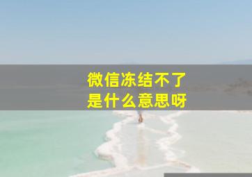 微信冻结不了是什么意思呀