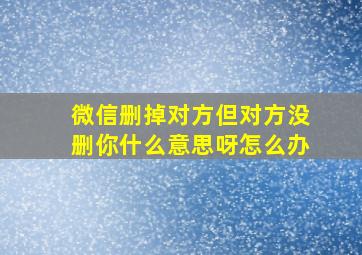 微信删掉对方但对方没删你什么意思呀怎么办