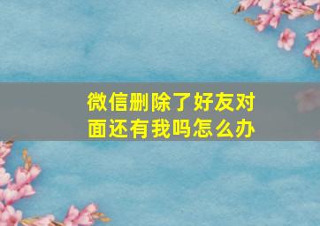 微信删除了好友对面还有我吗怎么办