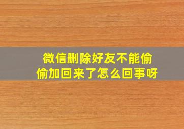 微信删除好友不能偷偷加回来了怎么回事呀