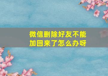 微信删除好友不能加回来了怎么办呀