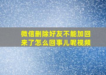 微信删除好友不能加回来了怎么回事儿呢视频