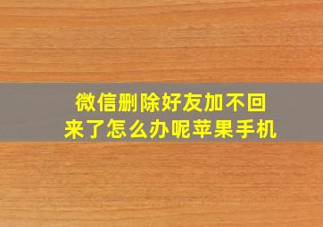 微信删除好友加不回来了怎么办呢苹果手机