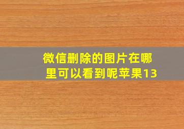 微信删除的图片在哪里可以看到呢苹果13