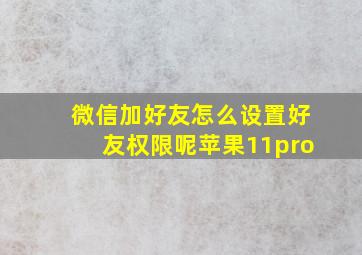 微信加好友怎么设置好友权限呢苹果11pro