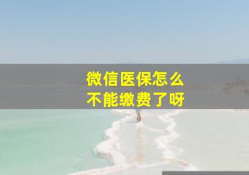 微信医保怎么不能缴费了呀