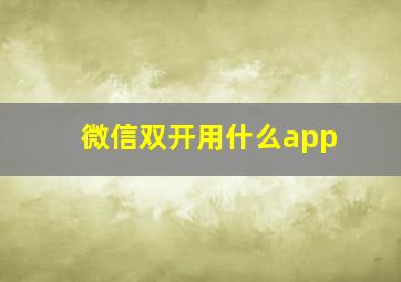 微信双开用什么app