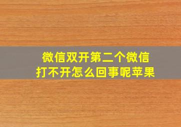 微信双开第二个微信打不开怎么回事呢苹果