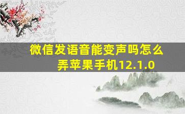 微信发语音能变声吗怎么弄苹果手机12.1.0