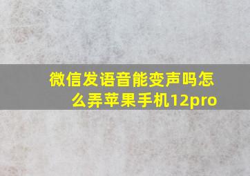 微信发语音能变声吗怎么弄苹果手机12pro