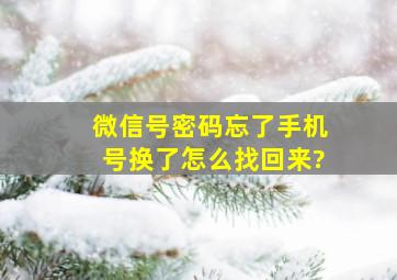 微信号密码忘了手机号换了怎么找回来?