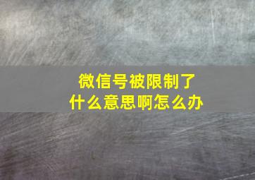 微信号被限制了什么意思啊怎么办