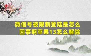 微信号被限制登陆是怎么回事啊苹果13怎么解除