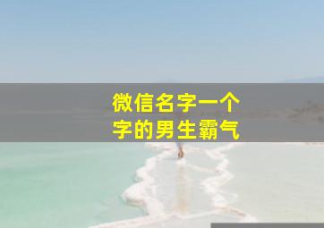 微信名字一个字的男生霸气