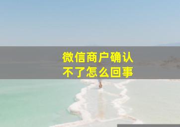 微信商户确认不了怎么回事