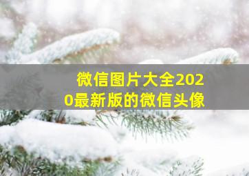 微信图片大全2020最新版的微信头像