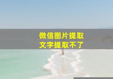 微信图片提取文字提取不了