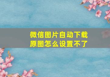 微信图片自动下载原图怎么设置不了