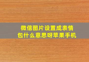 微信图片设置成表情包什么意思呀苹果手机