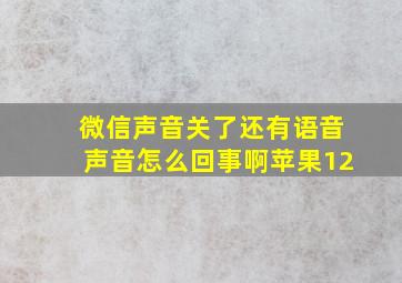 微信声音关了还有语音声音怎么回事啊苹果12