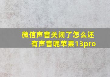 微信声音关闭了怎么还有声音呢苹果13pro