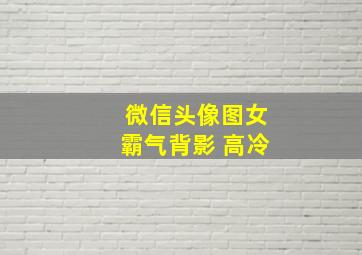 微信头像图女霸气背影 高冷