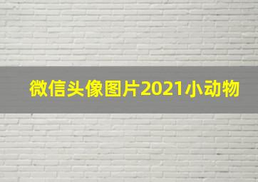 微信头像图片2021小动物