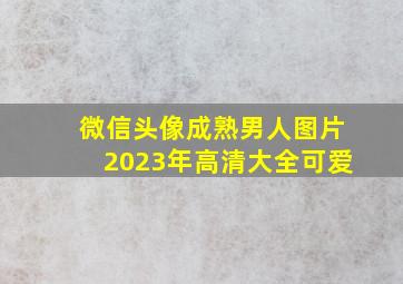 微信头像成熟男人图片2023年高清大全可爱