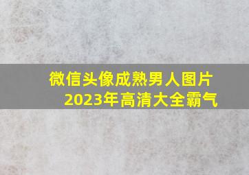 微信头像成熟男人图片2023年高清大全霸气