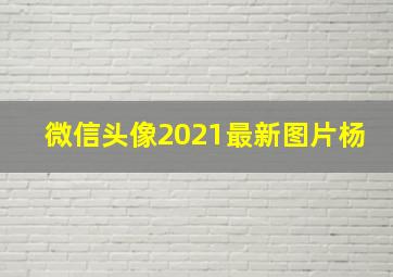 微信头像2021最新图片杨