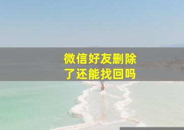 微信好友删除了还能找回吗