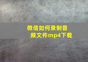 微信如何录制音频文件mp4下载