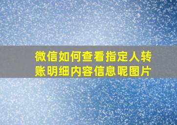 微信如何查看指定人转账明细内容信息呢图片