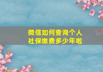 微信如何查询个人社保缴费多少年啦