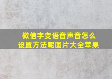 微信字变语音声音怎么设置方法呢图片大全苹果