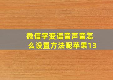 微信字变语音声音怎么设置方法呢苹果13