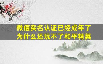 微信实名认证已经成年了为什么还玩不了和平精英