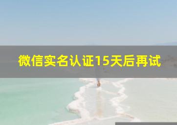 微信实名认证15天后再试